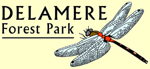 Delamere Forest Park
