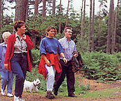 walking in Delamere