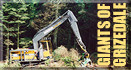 visit the giants of grizedale during July and August 2002