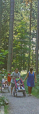 The Ridding Wood all access trail