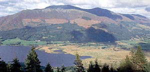 Dodd Wood from Whinlatter