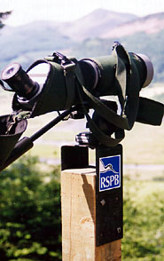 one of the telescopes available at Dodd Wood viewing platform