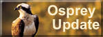 Osprey Watch