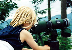 all ages can view the ospreys
