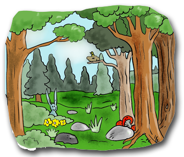 forest