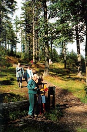 The Foxtrot junior trail